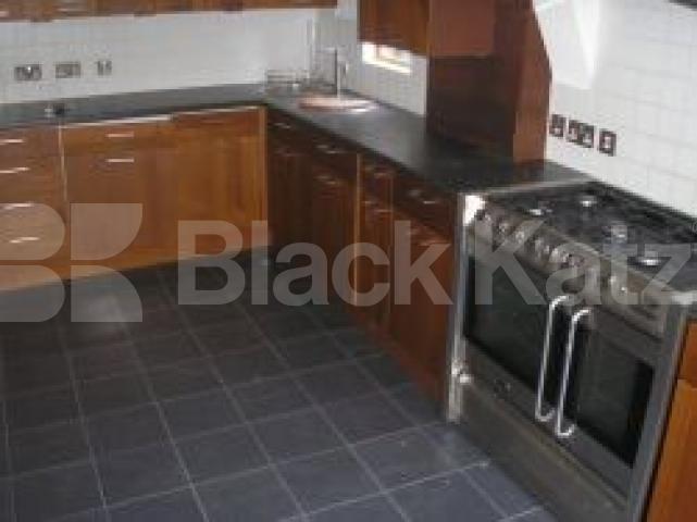 			3 Bedroom, 1 bath, 1 reception Terraced House			 Despard Road, ARCHWAY N19